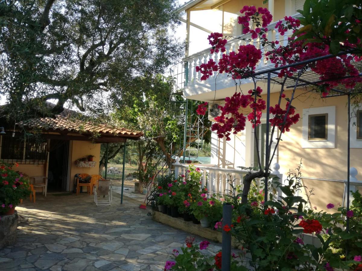 Casa Dyonisia Tsilivi Aparthotel Plános Buitenkant foto